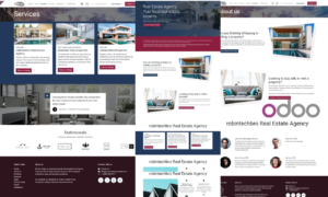 Odoo-website-design (3)