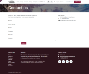 screencapture-robintechbro-odoo-contactus-2024-06-22-11_25_18